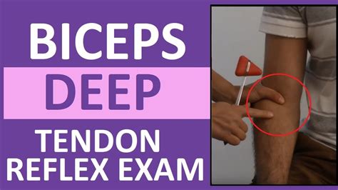 Biceps Deep Tendon Reflex Examination | Nursing Head to Toe Assessment - YouTube