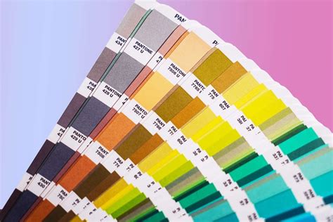 Color Palette Ideas to Inspire Your Next Design Project