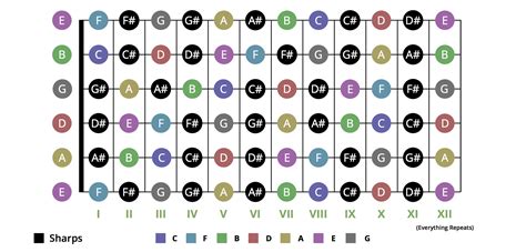 EASIEST Guide to Learning the Notes on Your Guitar Fretboard