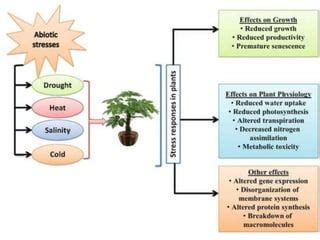 Abiotic stress | PPT