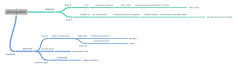glucoregulation - Coggle Diagram