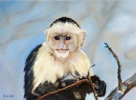 Capuchin Monkey Painting by Pamela Bell - Fine Art America