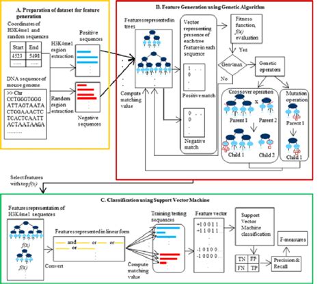 Schematic diagram of complex tree feature generation. | Download ...