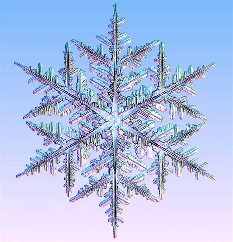 Branching - SnowCrystals.com