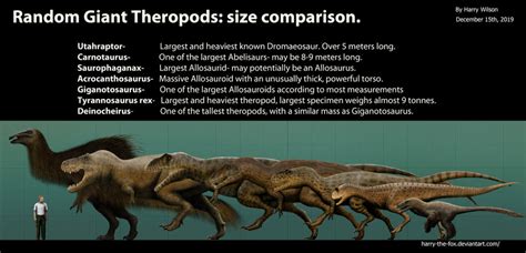 Giant Theropod Size Comparison by Harry-the-Fox on DeviantArt