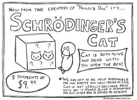 Schrodinger's Cat by FailureConfetti on DeviantArt