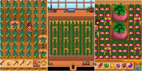 Stardew Valley: 10 Best Crops To Grow In The Greenhouse