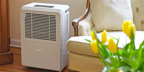 Best dehumidifiers in 2020: Frigidaire, Black & Decker, and more - Business Insider