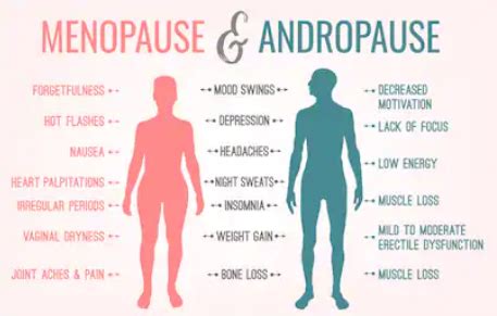 Andropause and Menopause – Acupuncture Los Angeles, Acupuncture Ventura, Canoga Park