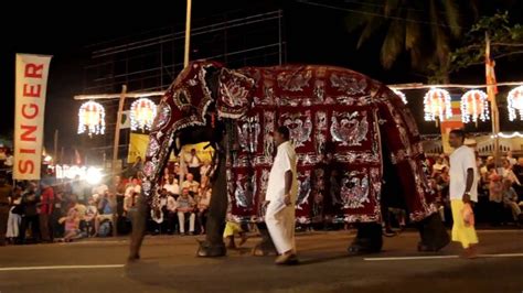 Nawam Maha Perahera - Elephant Parade in Colombo, Sri Lanka | Elephant ...