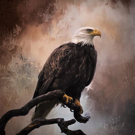 Looking Forward - Eagle Art Painting by Jordan Blackstone - Fine Art America