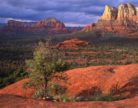 Courthouse Butte Loop | Arizona Highways