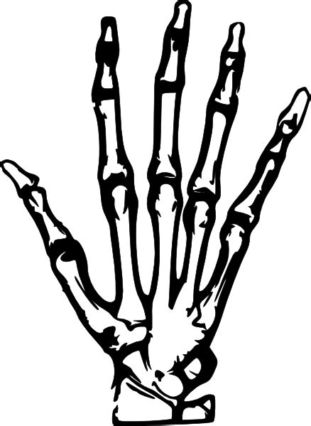 Free Skeleton Hand Cliparts, Download Free Skeleton Hand Cliparts png images, Free ClipArts on ...