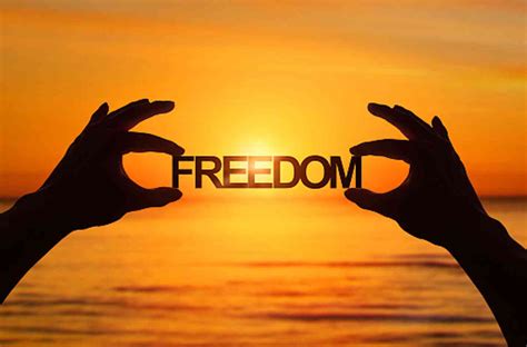 What is freedom? - Daily Muslim