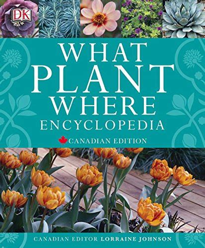 What Plant Where Encyclopedia: DK Publishing: 9781553632283: Amazon.com ...