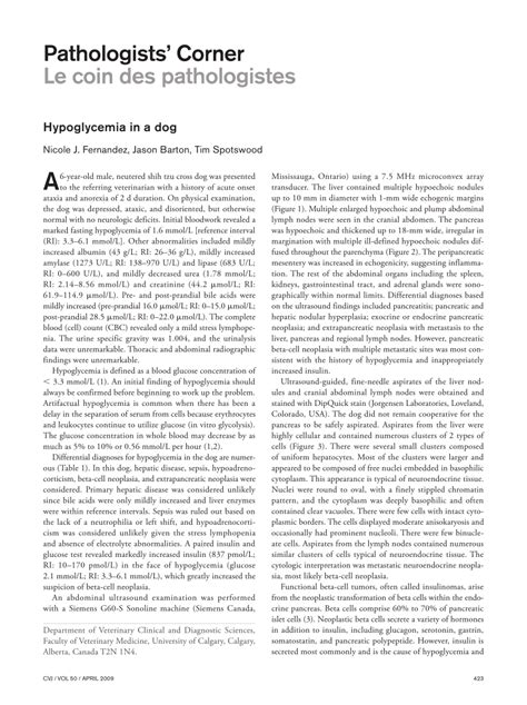 (PDF) Hypoglycemia in a dog