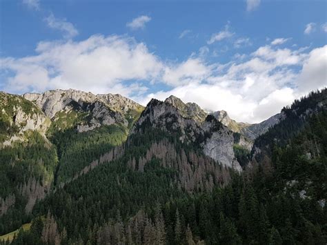 Tatry Poland Mountains - Free photo on Pixabay - Pixabay