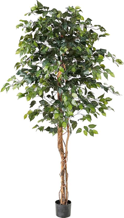 Nearly Natural 5209 Ficus Silk Tree, 6-Feet, Green by Nearly Natural ...