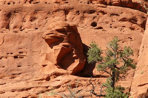 Chicken Point Vista to the Chapel of the Holy Cross, Hiking Sedona AZ