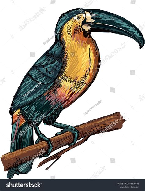 Digital Painting Vector Drawing Bird Isolate Stock Vector (Royalty Free) 2053379861 | Shutterstock