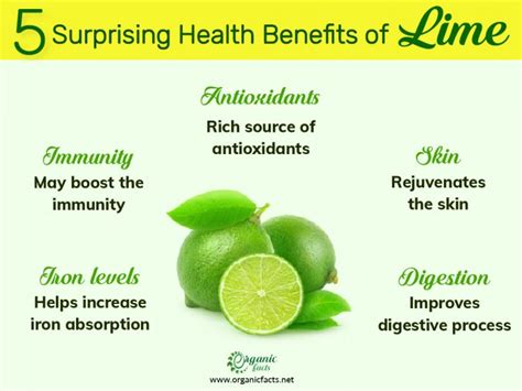 Lime: Benefits, Uses, and Side Effects | Organic Facts