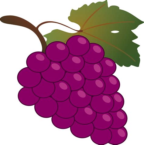 Grapes clipart grape harvest, Picture #1254566 grapes clipart grape harvest