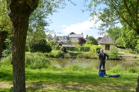 A Complete Guide to Farm Pond Algae Control - The Weeders Digest