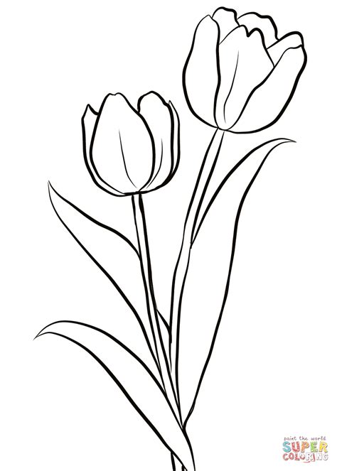 Dibujo de Dos tulipanes para colorear | Dibujos para colorear imprimir gratis