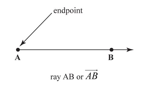 A Line Segment Can Grow From Which of the Following - AnthonykruwGarrison