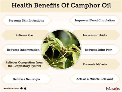 Benefits of Camphor Oil And Its Side Effects | Lybrate