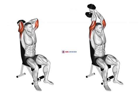 Dumbbell Seated Triceps Extension - Home Gym Review