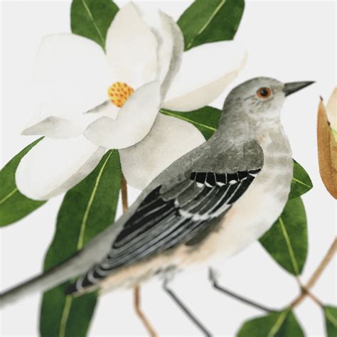 Mississippi Northern Mockingbird Print - 50 States of Beauty