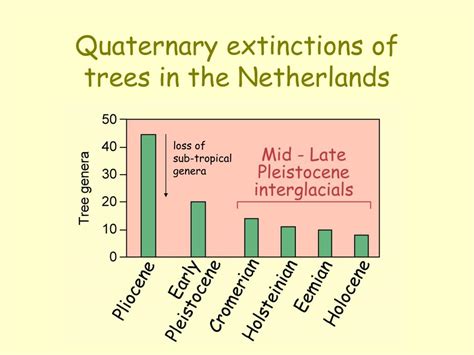 PPT - Quaternary environments and N. hemisphere temperate forests ...