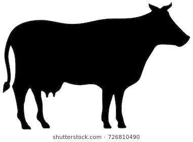 Beef Cow Silhouette Vector at Vectorified.com | Collection of Beef Cow Silhouette Vector free ...