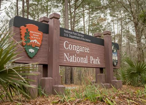 Top 10 Fun Things To Do In Congaree National Park