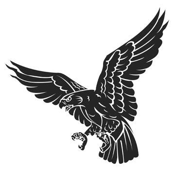 Hawk clipart images free clipart images 4 - Clipartix