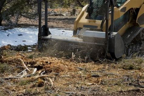 Skid Steer Mulching FAQ's - We Answer Some Common Mulching Questions