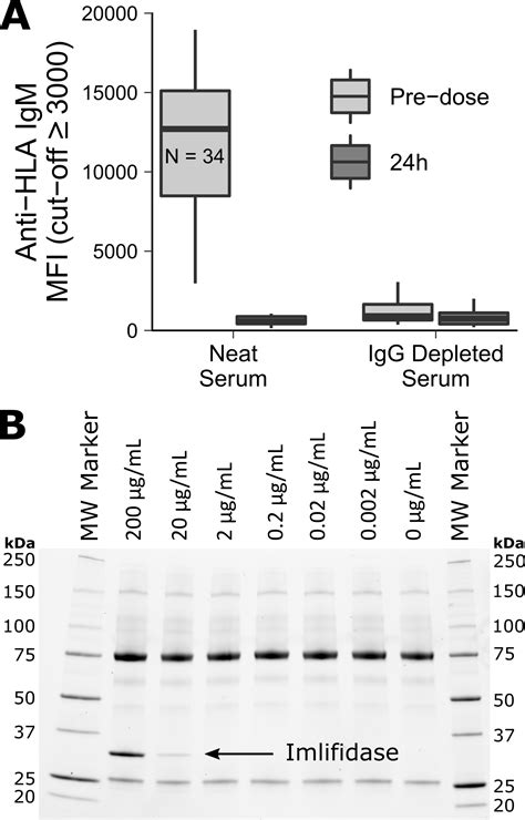 Anti-HLA IgM Antibodies are Unaffected by Imlifidase (IdeS) Treatment ...