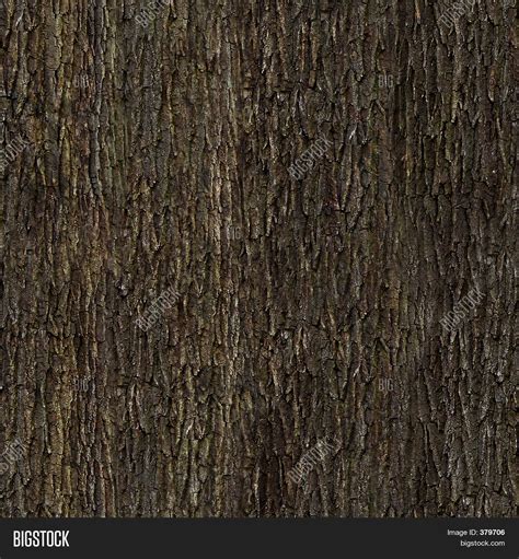 Oak Bark Texture Image & Photo (Free Trial) | Bigstock