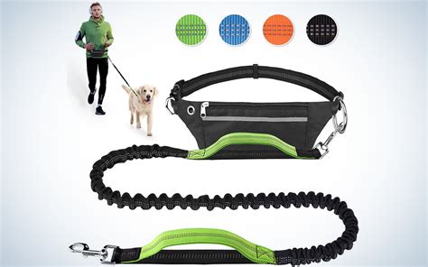 Dog walking gear that transforms a regular stroll into proper ‘walkies’