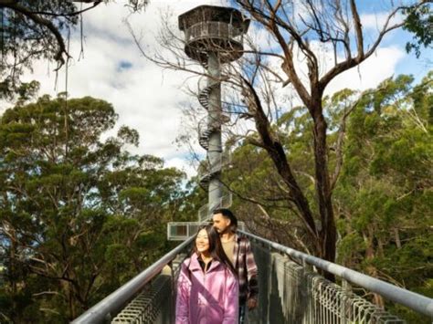 20% off Treetop Walk and Zipline Tours - LetsGoKids