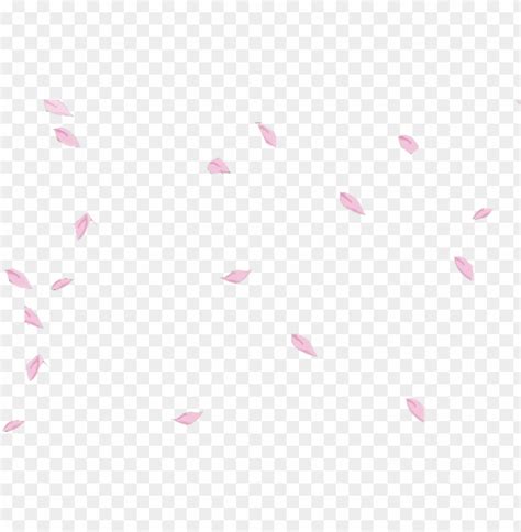 Free download | HD PNG sakura petals flower floral falling floating ...