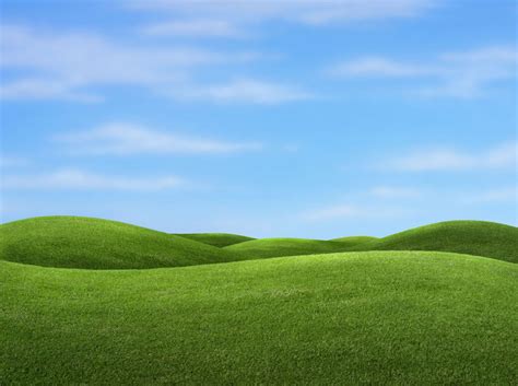 transparent background grass clipart - Clip Art Library