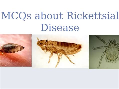 Obligate intracellular parasites Archives • Microbe Online