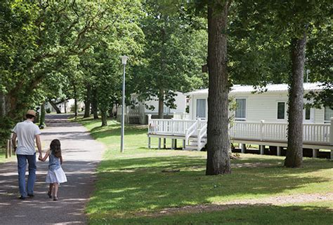 New Forest Camping Sites : Camping Holiday Parks