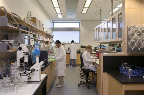 File:Biomedical Engineering Laboratory.jpg - Wikimedia Commons
