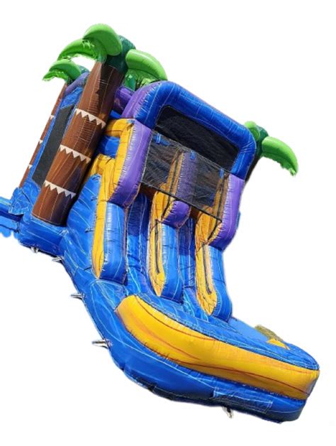 Slides & Combos - Goodwin Inflatables Nesbit MS