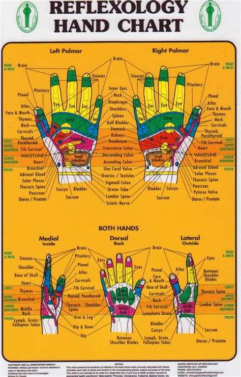 Hand Reflexology Chart ( Pacific Institute) — Massage Therapy Supply Outlet Ltd