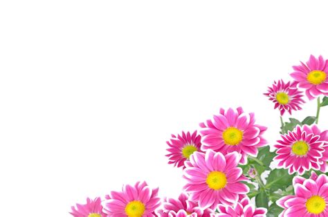 Flowers Post Card Free Stock Photo - Public Domain Pictures