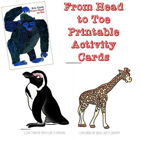 From Head to Toe ~ Printable Activity Cards - Teach Beside Me